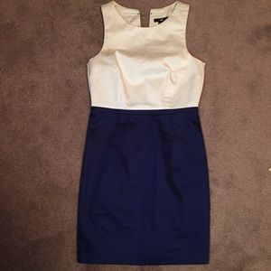 H&M // White & Navy Blue Dress